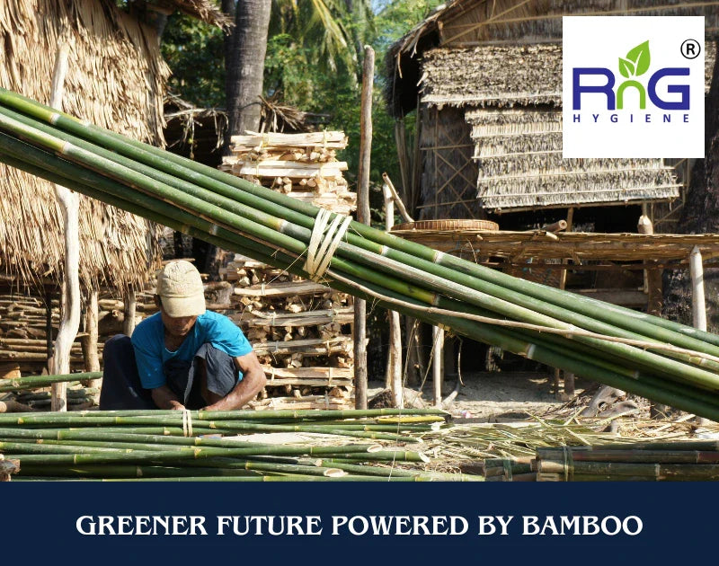 Greener Future Powered By Bamboo