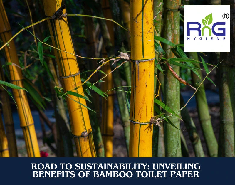 Benefits Of Bamboo Toilet Paper