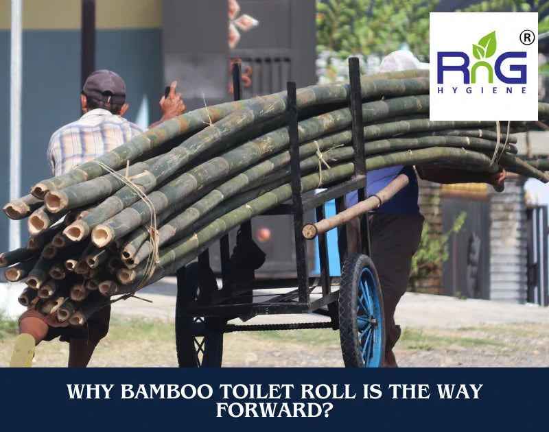Bamboo Toilet Roll Is The Way Forward