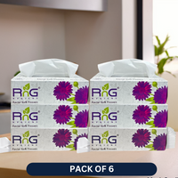 RnG Hygiene Ultra-Soft 2-Ply Facial Tissue - Pack of 6